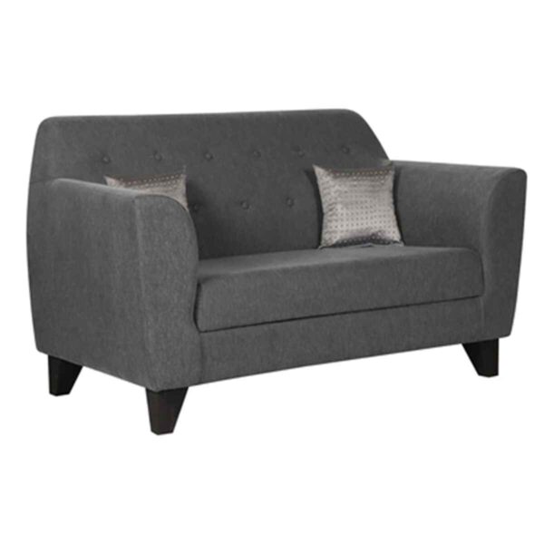 Ilab 2 Seater Sofa in Grey Colour by FernIndia.com