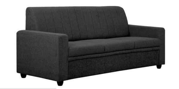 Tragttuts 3 Seater Sofa in Charcoal Grey Colour by FernIndia.com