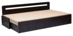 Noiro Sofa Cum Bed in Wenge Finish by FernIndia.com