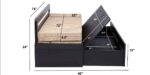 Noiro Sofa Cum Bed in Wenge Finish by FernIndia.com