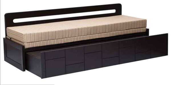 Noiro Sofa Cum Bed in Wenge Finish by FernIndia.com