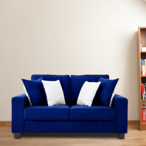 Gubydal 2 Seater Sofa In Blue Colour By FernIndia.com