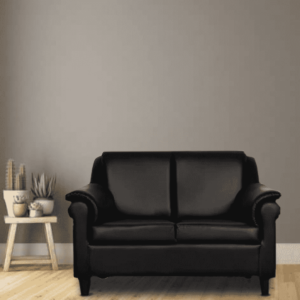 Nosidam 2 Seater Sofa in Black Colour by FernIndia.com