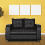 Akanat 2 Seater Sofa in Matte Black Colour by FernIndia.com