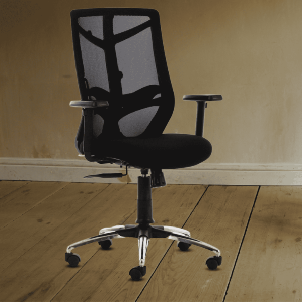 Erutan Ergonomic Chair in Black Colour by Fern India