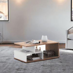 Xam Coffee Table in dual Colour by Fern India