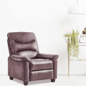 Ecinev 1 Seater Manual Recliner in Brown Color by FernInida.com