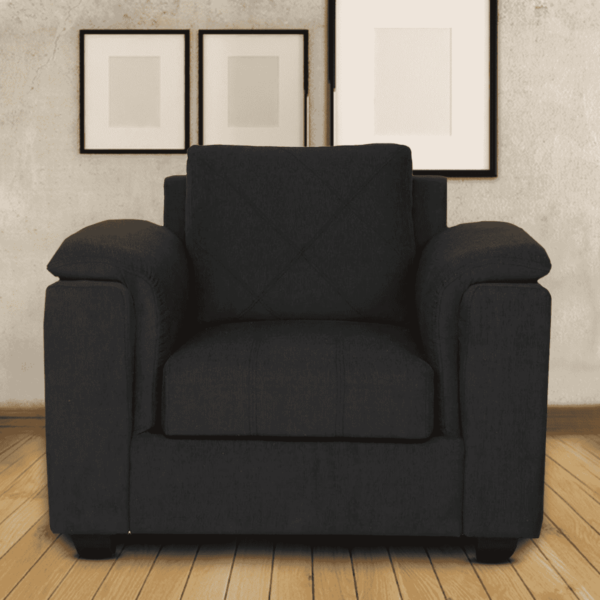 Serdna 1 Seater Sofa in Charcoal Grey Colour by FernIndia.com