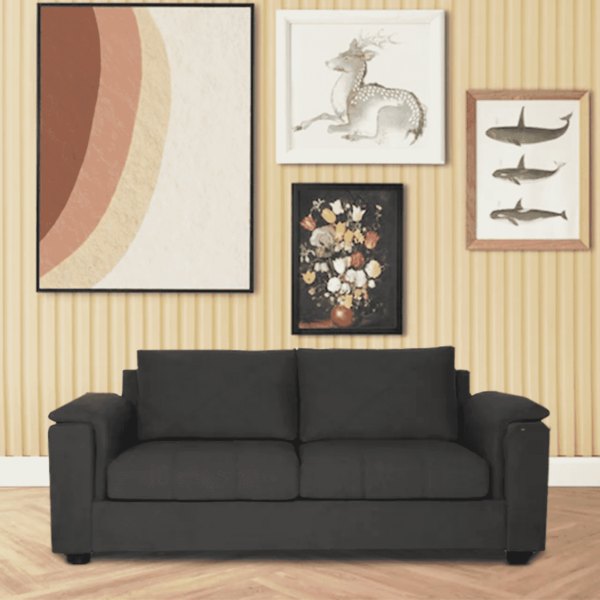 Serdna 3 Seater Sofa in Charcoal Grey Colour By FernIndia.com