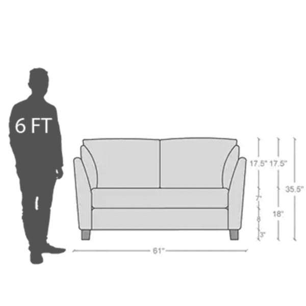 Adnarim 2 Seater Sofa in Charcoal Grey Colour by FernIndia.com