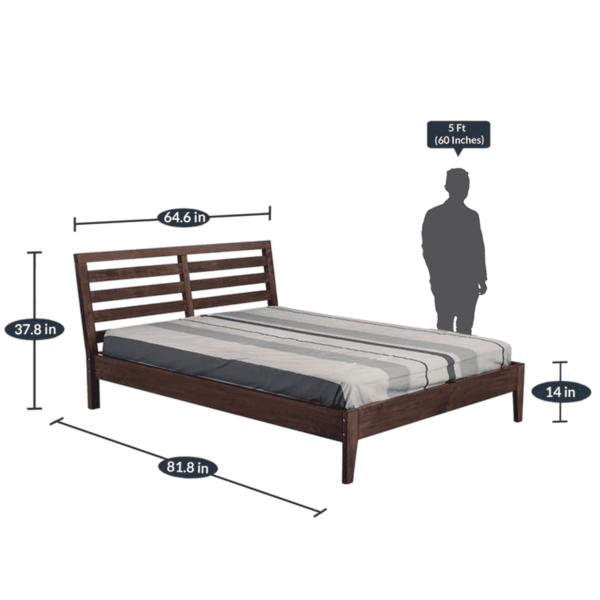 Nref Queen Size Bed in Walnut Brown Matte Finish by Fern India