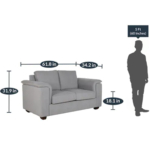 Serdna 2 Seater Sofa in Ash Grey Colour by FernIndia.com