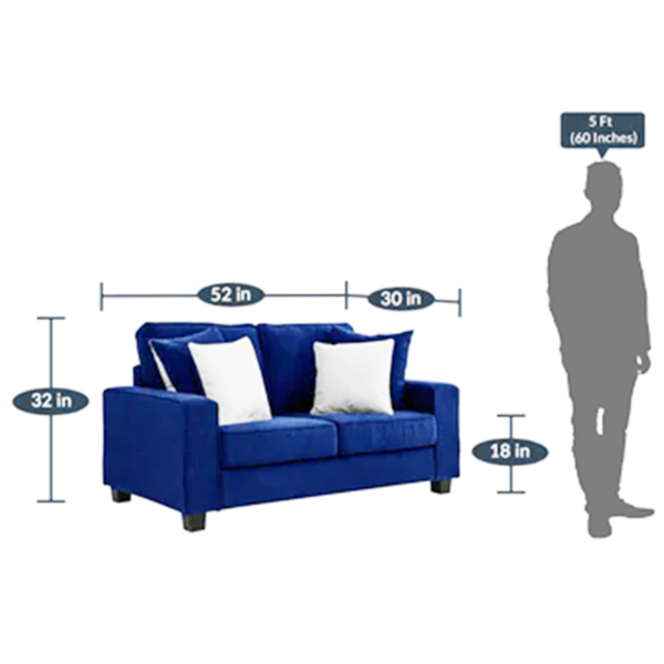 Gubydal 2 Seater Sofa In Blue Colour By FernIndia.com