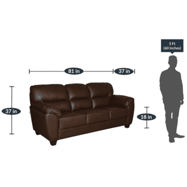Irab 3 Seater Sofa in Dark Brown colour by FernIndia.com