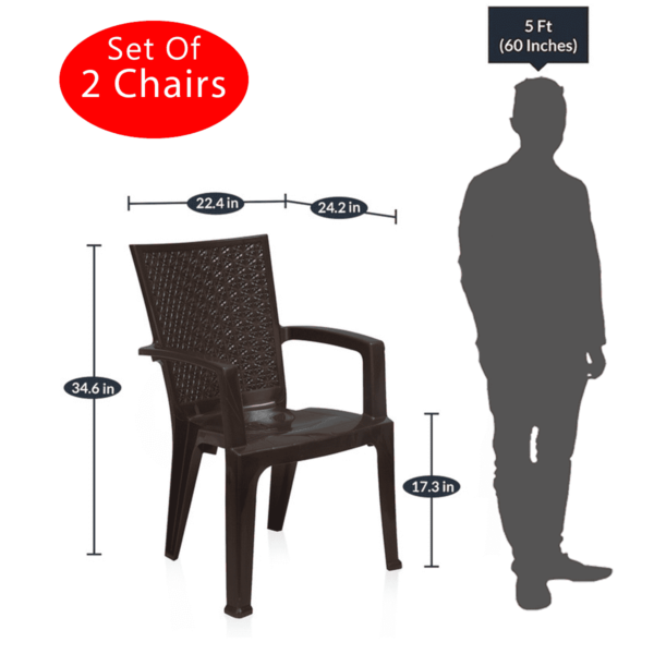 Plastic Chairs (Set of 2) in Weather Brown Colour by Fern India