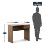 Ralohcs Office Table in Brown Colour by Fern India