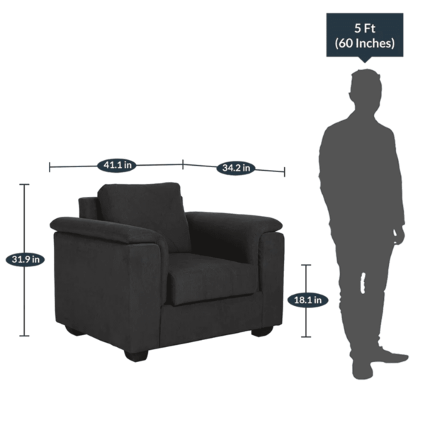 Serdna 1 Seater Sofa in Charcoal Grey Colour by FernIndia.com