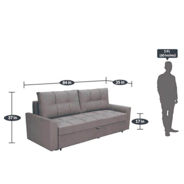 Seni Sofa Cum Bed in Grey Color by FernIndia.com