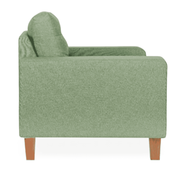 Engoloc 3 Seater Sofa in Green Colour by FernIndia.com