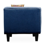 Ikin 2 Seater Sofa In Blue Colour By FernIndia.com