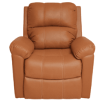 Onips 1 Seater Recliner in Tan Colour by FernIndia.com