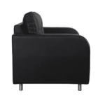 Akanat 2 Seater Sofa in Matte Black Colour by FernIndia.com