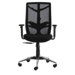 Erutan Ergonomic Chair in Black Colour by Fern India