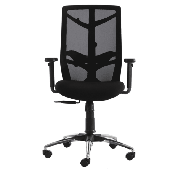 Erutan Ergonomic Chair in Black Colour by Fern India