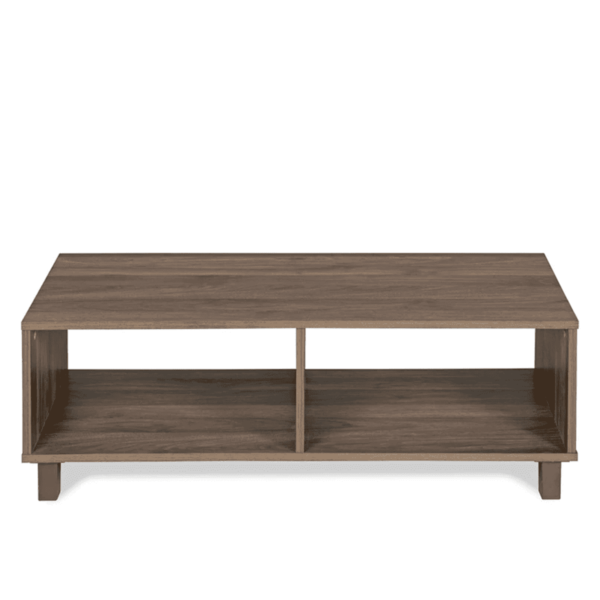 Oretsa Center Table in Walnut Finish by Fern India
