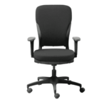 Noitom Ergonomic Chair in Carbon Black Colour by Fern India