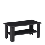 Oan Coffee Table in Dark Wenge Colour by Fern India