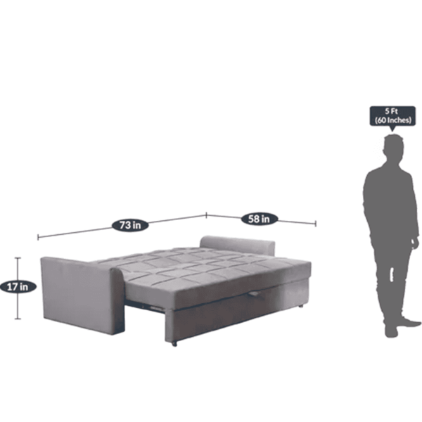 Seni Sofa Cum Bed in Grey Color by FernIndia.com