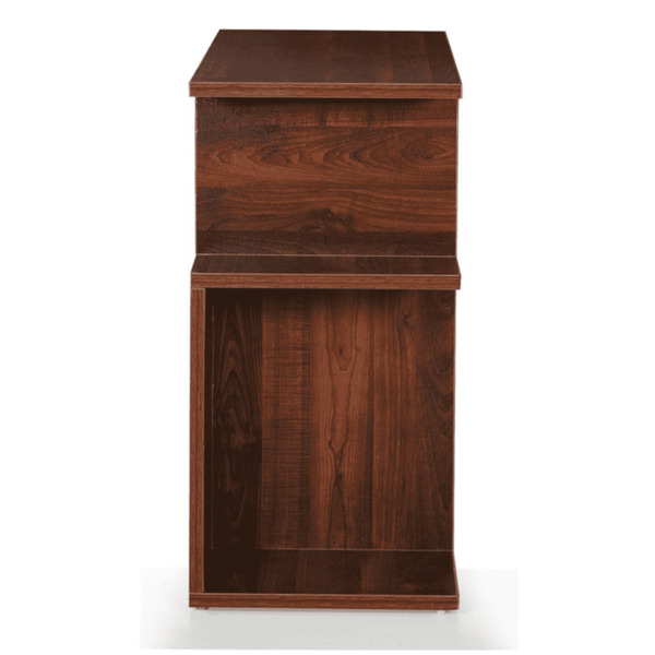 Naydam End Table in Brown Colour by Fern India