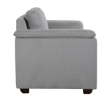 Serdna 2 Seater Sofa in Ash Grey Colour by FernIndia.com