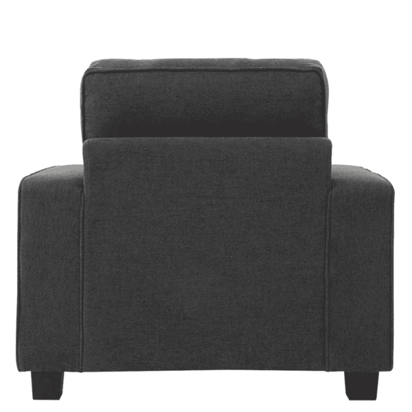 Gubydal 1 Seater Sofa In Grey Colour By FernIndia.com