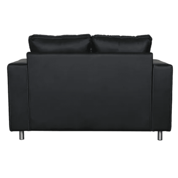 Akanat 2 Seater Sofa in Matte Black Colour by FernIndia.com