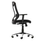 Erutan Ergonomic Chair in Black Colour by Fern India