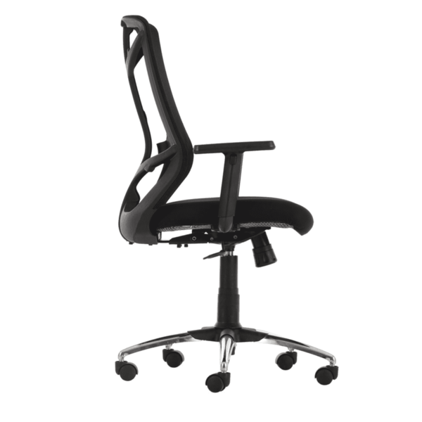 Erutan Ergonomic Chair in Black Colour by Fern India