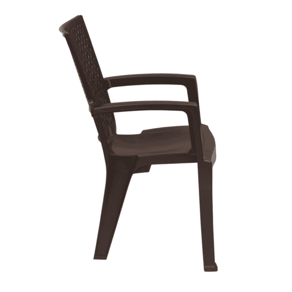 Plastic Chairs (Set of 2) in Weather Brown Colour by Fern India
