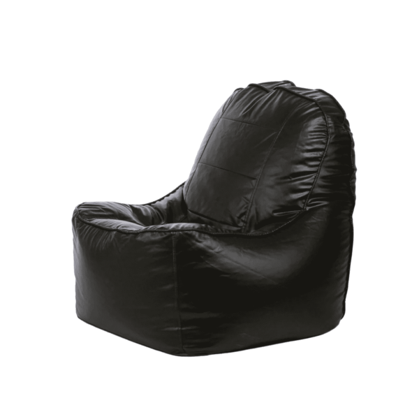 Combo Regnuol XXXL Bean Bag & Round Pouffe with Beans in Black colour by Fern India