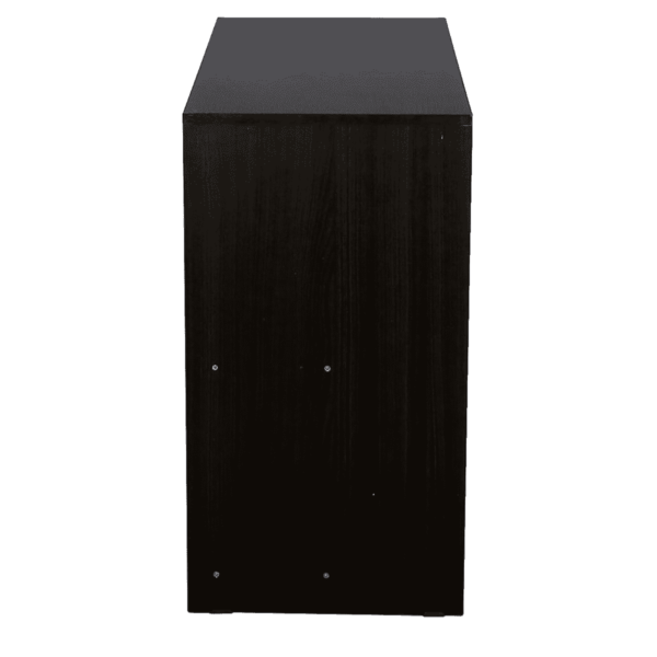 Arika Computer Table in Wenge Finish by Fern India
