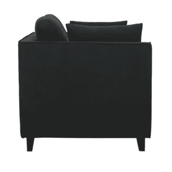 Adnarim 2 Seater Sofa in Charcoal Grey Colour by FernIndia.com