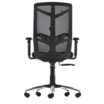 Erutan Ergonomic Chair in Black Colour by Fern India