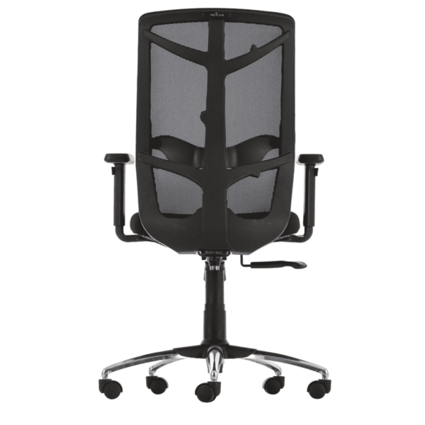 Erutan Ergonomic Chair in Black Colour by Fern India