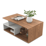 Xam Coffee Table in dual Colour by Fern India