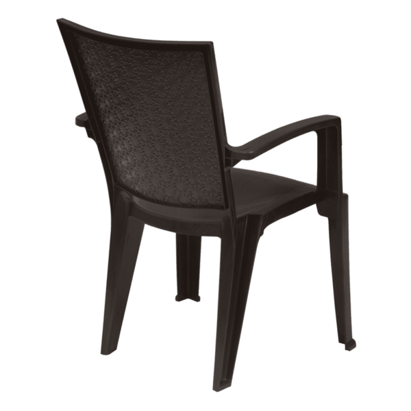 Plastic Chairs (Set of 2) in Weather Brown Colour by Fern India