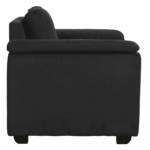 Serdna 1 Seater Sofa in Charcoal Grey Colour by FernIndia.com