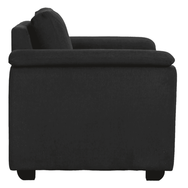 Serdna 1 Seater Sofa in Charcoal Grey Colour by FernIndia.com