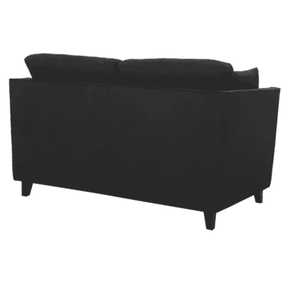 Adnarim 2 Seater Sofa in Charcoal Grey Colour by FernIndia.com
