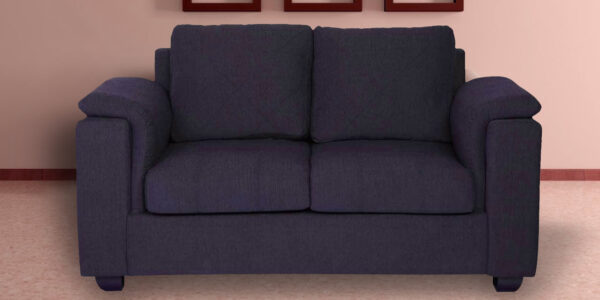 Serdna 2 Seater Sofa in Chestnut Brown Colour by FernIndia.com